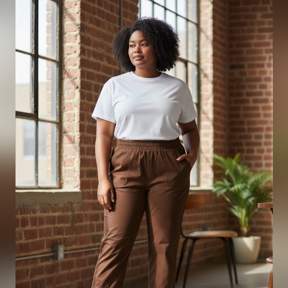 Democracy Pants - Democracy Brown Elastic Waist Ankle Pants XL Stretch Cotton Blend